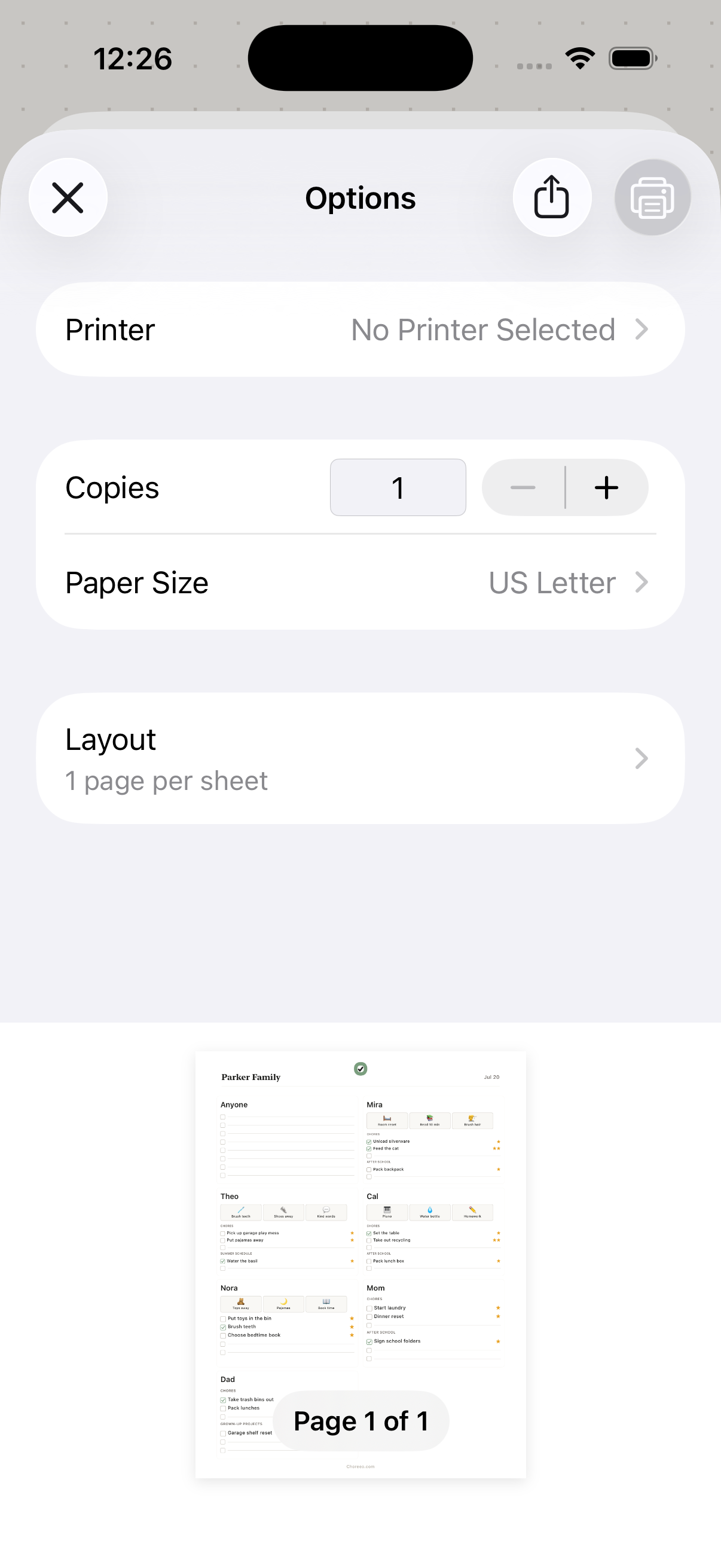 The native Choreeo iPhone system print preview.